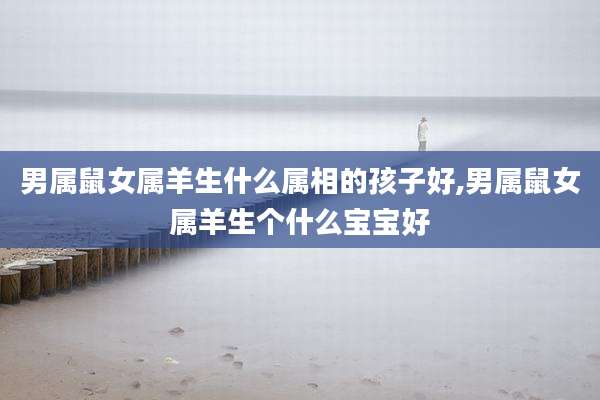 男属鼠女属羊生什么属相的孩子好,男属鼠女属羊生个什么宝宝好