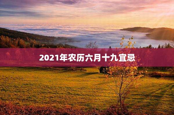 2021年农历六月十九宜忌