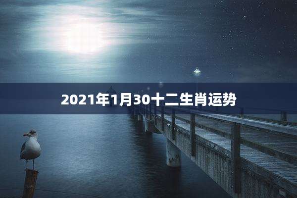 2021年1月30十二生肖运势
