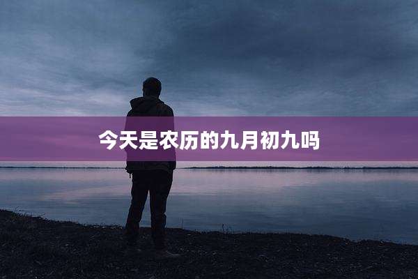 今天是农历的九月初九吗