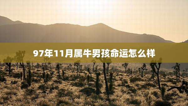 97年11月属牛男孩命运怎么样