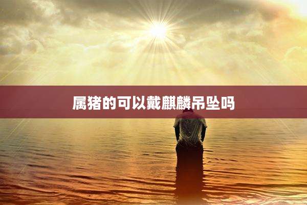 属猪的可以戴麒麟吊坠吗