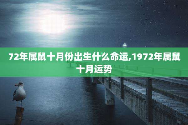 72年属鼠十月份出生什么命运,1972年属鼠十月运势