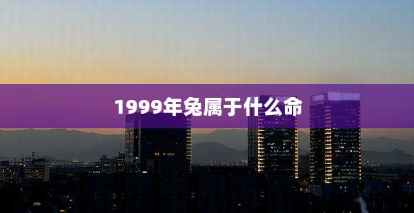 1999年兔属于什么命