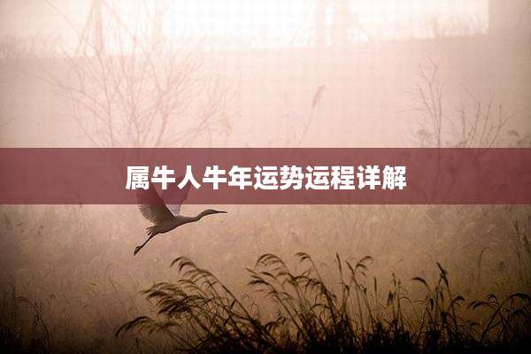 属牛人牛年运势运程详解