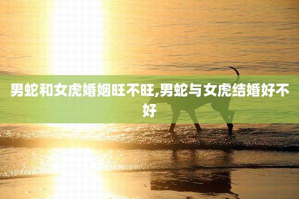 男蛇和女虎婚姻旺不旺,男蛇与女虎结婚好不好