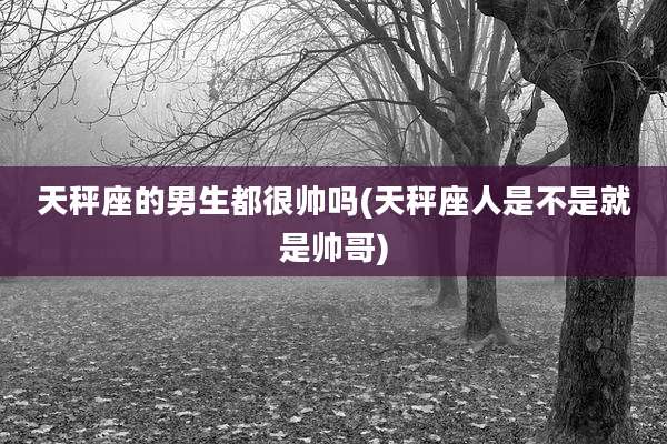 天秤座的男生都很帅吗(天秤座人是不是就是帅哥)