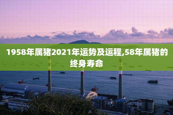 1958年属猪2021年运势及运程,58年属猪的终身寿命