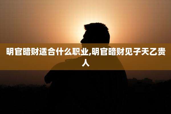 明官暗财适合什么职业,明官暗财见子天乙贵人