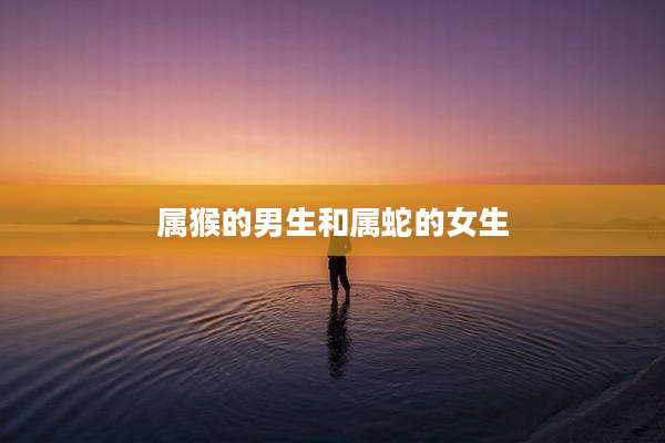 属猴的男生和属蛇的女生