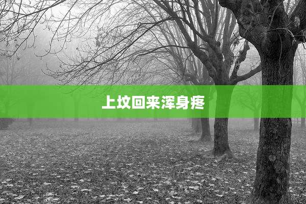 上坟回来浑身疼