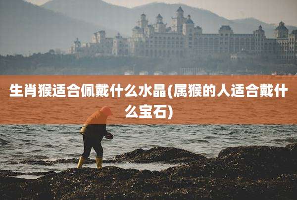 生肖猴适合佩戴什么水晶(属猴的人适合戴什么宝石)