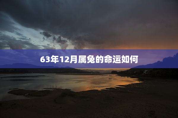 63年12月属兔的命运如何