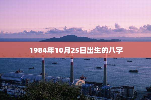 1984年10月25日出生的八字