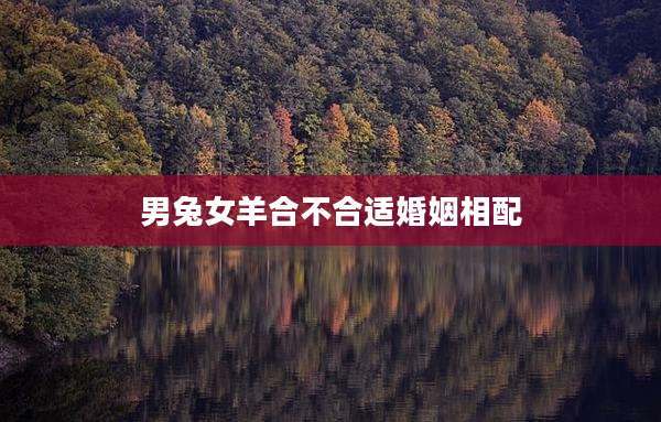 男兔女羊合不合适婚姻相配