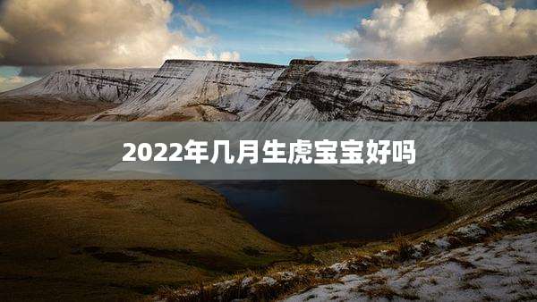 2022年几月生虎宝宝好吗
