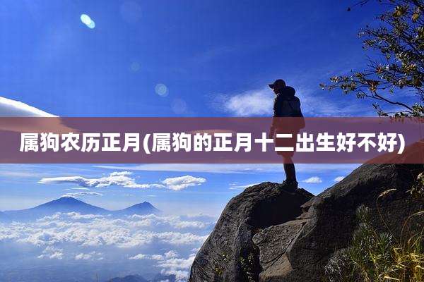 属狗农历正月(属狗的正月十二出生好不好)
