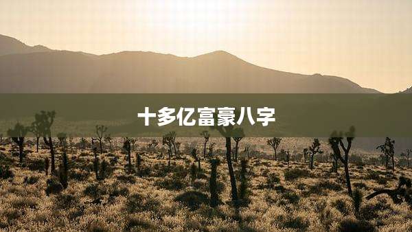 十多亿富豪八字