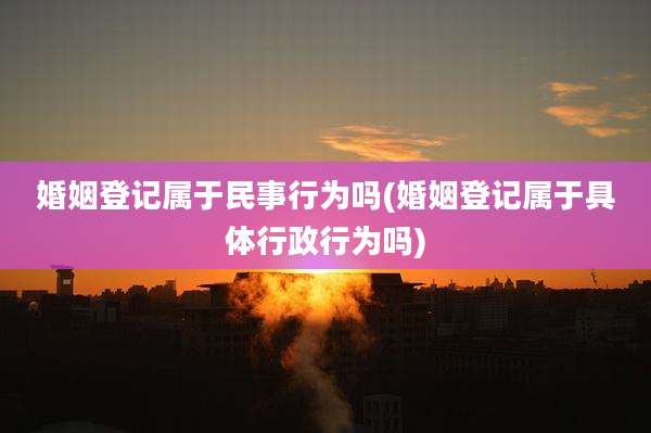婚姻登记属于民事行为吗(婚姻登记属于具体行政行为吗)