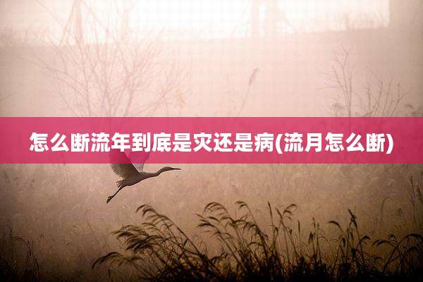 怎么断流年到底是灾还是病(流月怎么断)