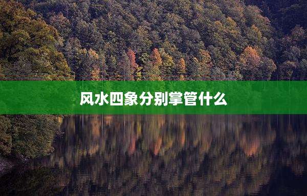 风水四象分别掌管什么
