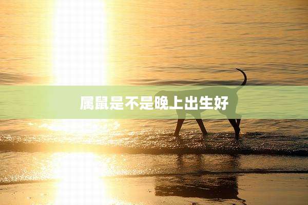 属鼠是不是晚上出生好