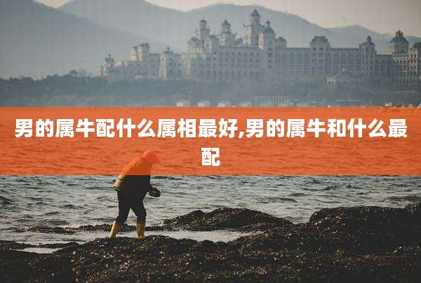 男的属牛配什么属相最好,男的属牛和什么最配