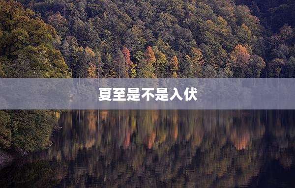 夏至是不是入伏
