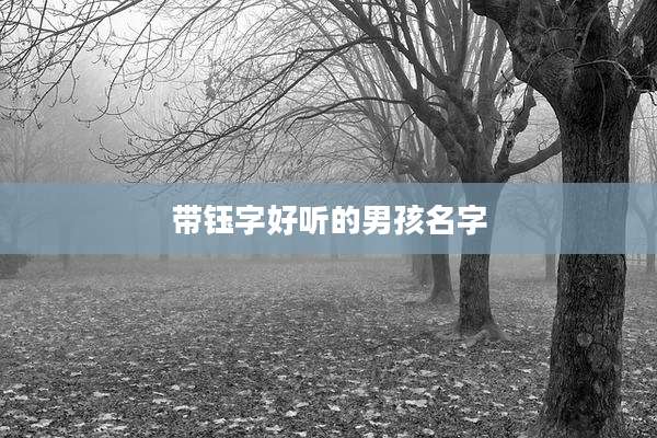 带钰字好听的男孩名字