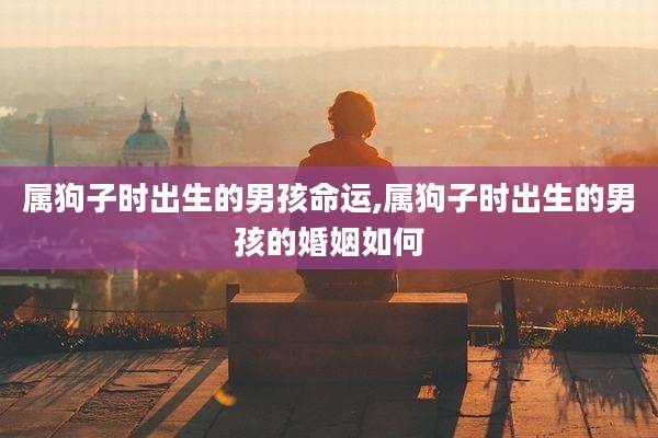 属狗子时出生的男孩命运,属狗子时出生的男孩的婚姻如何