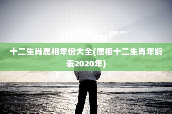 十二生肖属相年份大全(属相十二生肖年龄表2020年)