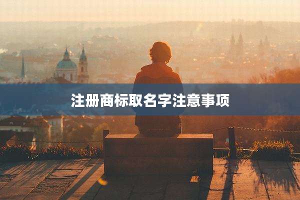 注册商标取名字注意事项
