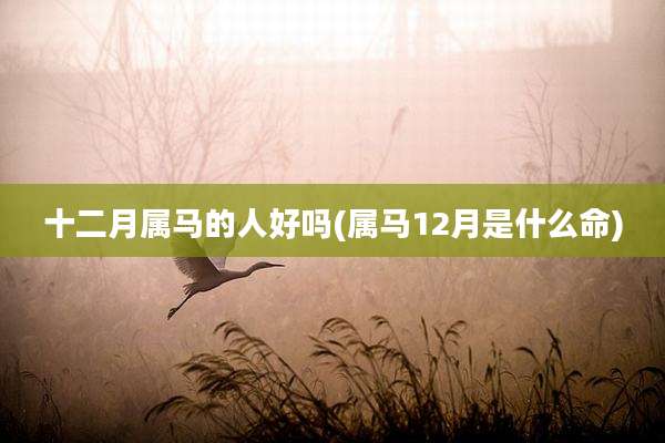 十二月属马的人好吗(属马12月是什么命)