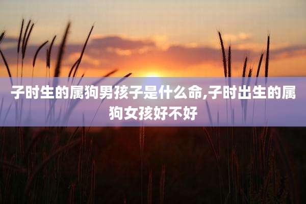 子时生的属狗男孩子是什么命,子时出生的属狗女孩好不好