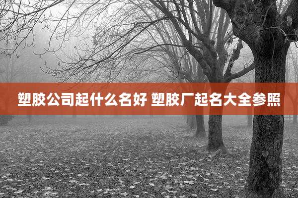 塑胶公司起什么名好 塑胶厂起名大全参照