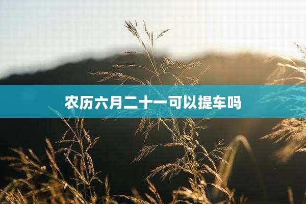 农历六月二十一可以提车吗