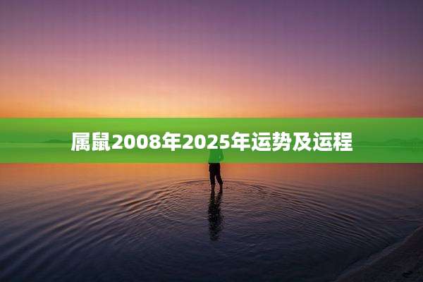 属鼠2008年2025年运势及运程
