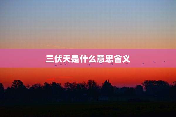 三伏天是什么意思含义