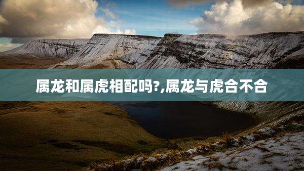 属龙和属虎相配吗?,属龙与虎合不合