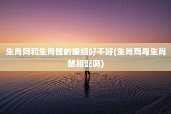生肖鸡和生肖鼠的婚姻好不好(生肖鸡与生肖鼠相配吗)
