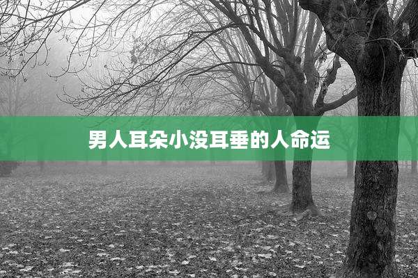 男人耳朵小没耳垂的人命运