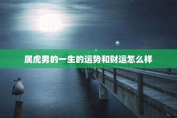 属虎男的一生的运势和财运怎么样