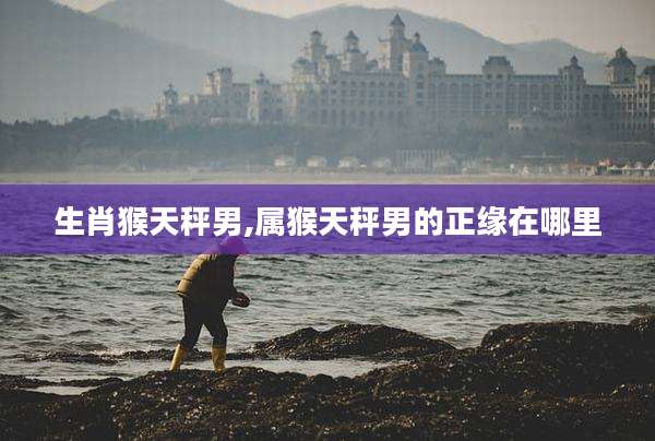生肖猴天秤男,属猴天秤男的正缘在哪里