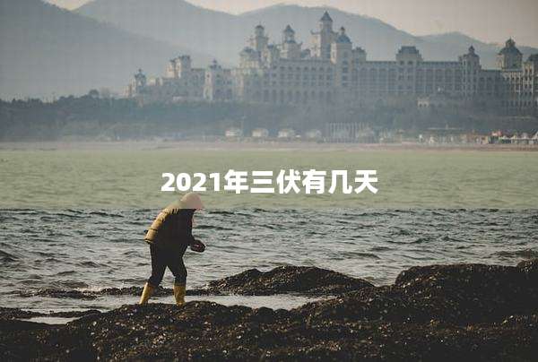 2021年三伏有几天
