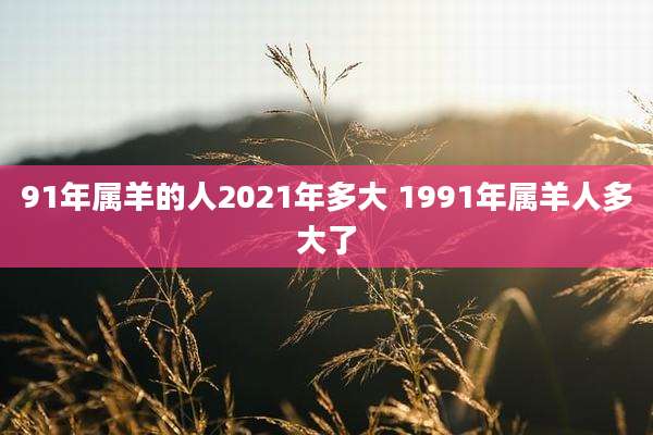 91年属羊的人2021年多大 1991年属羊人多大了