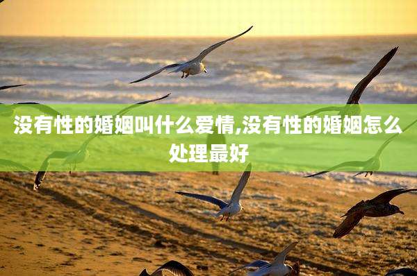 没有性的婚姻叫什么爱情,没有性的婚姻怎么处理最好