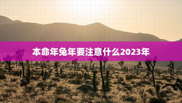 本命年兔年要注意什么2023年