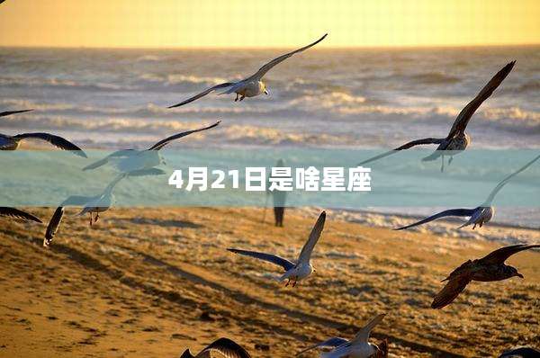4月21日是啥星座