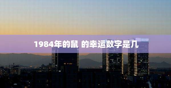 1984年的鼠 的幸运数字是几