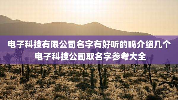 电子科技有限公司名字有好听的吗介绍几个 电子科技公司取名字参考大全